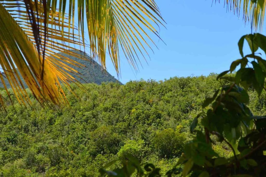La Villa Coconut Vue A 180° Mer Rocher Du Diamant Le Diamant Exterior foto